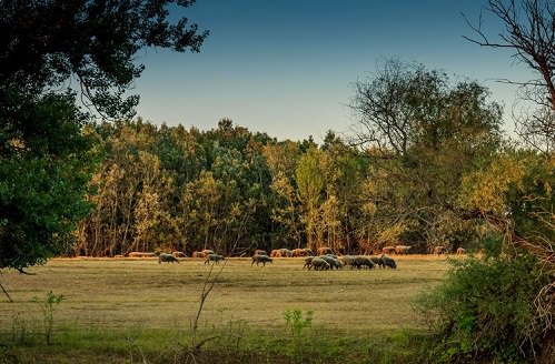 Balaton Uplands National Park Hungary