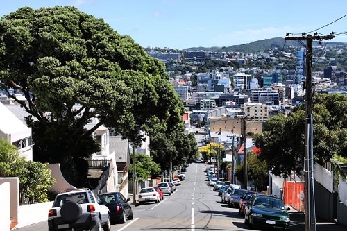 Baldwin Street New Zealand