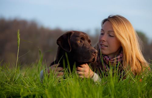 Cats and dogs improve heart health