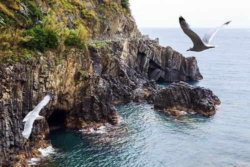 Cinque Terre National Park Italy