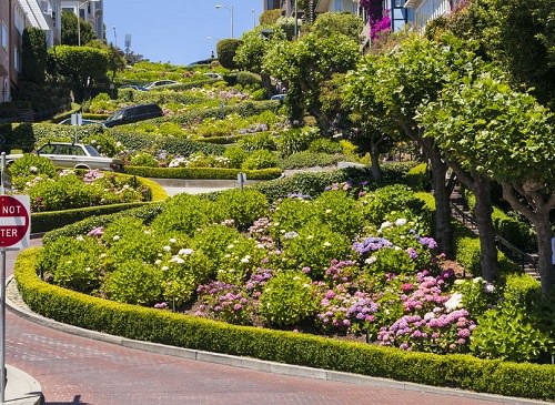 Lombard Street San Francisco