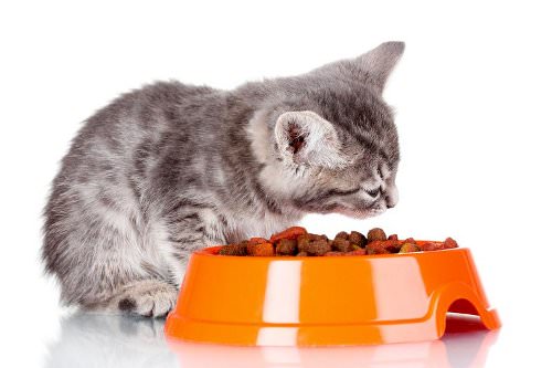 Make sure that you know what you're getting - cat food or kitten food