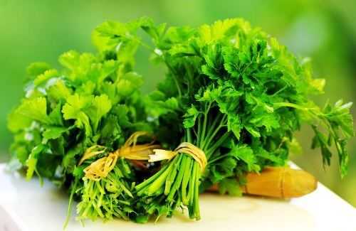 Parsley