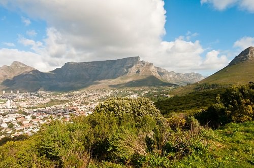 Table Mountain National Park South Africa