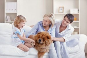 Ten Things to Consider When Looking for a Pet