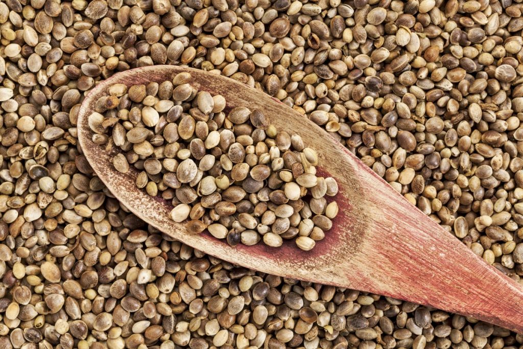 9 Health Benefits of Hemp Seeds