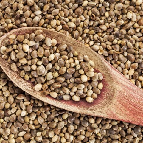 9 Health Benefits of Hemp Seeds