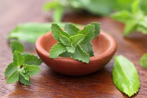 Stevia