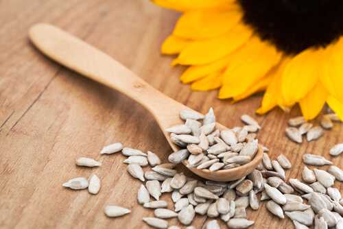 Sunflower seeds