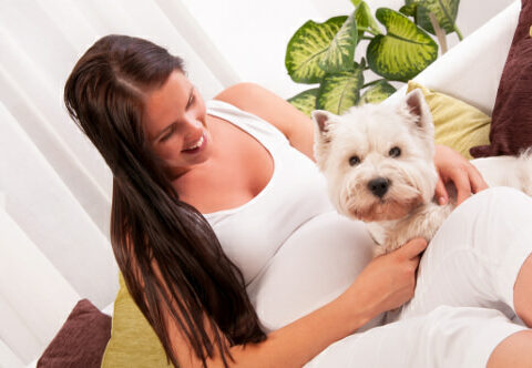Image of 9 Ways to Prepare Your Dog for a New Baby