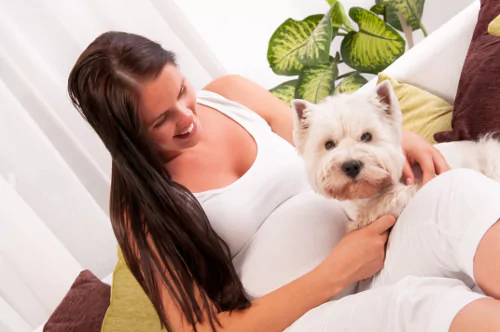 Image of 9 Ways to Prepare Your Dog for a New Baby