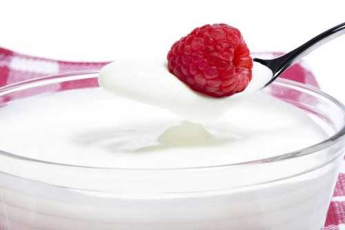 Yogurt