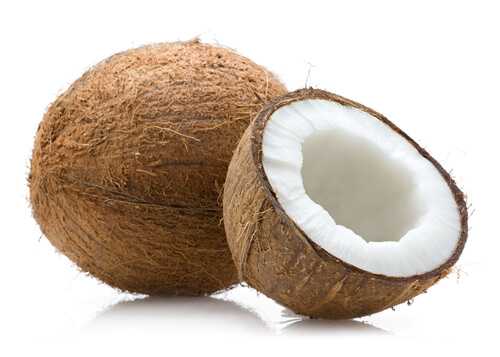 Coconut