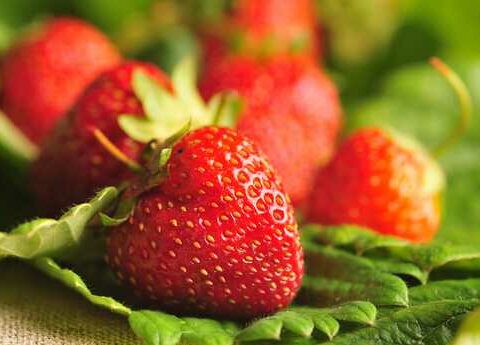 Healthy Reasons to Eat Strawberries