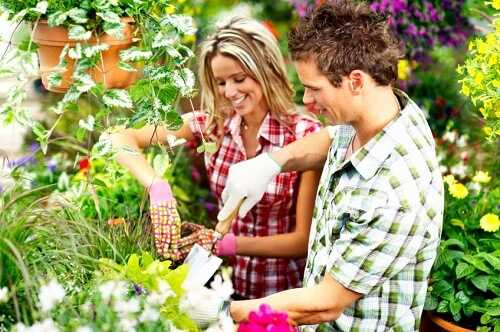 Little Dirty Outdoors Raising Garden