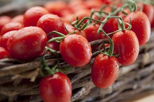 Tomatoes help fight cancer