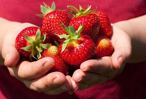 Strawberries