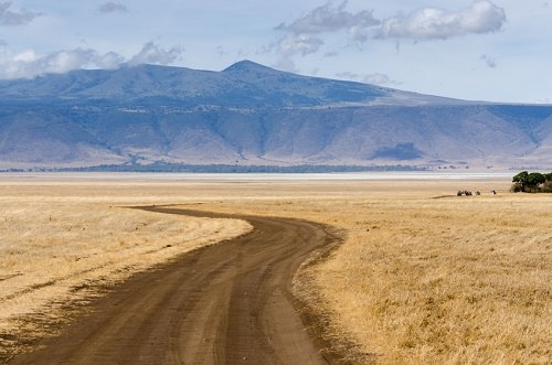 Ngorongoro Crater Tanzania