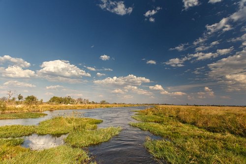 Okavango Delta Botswana