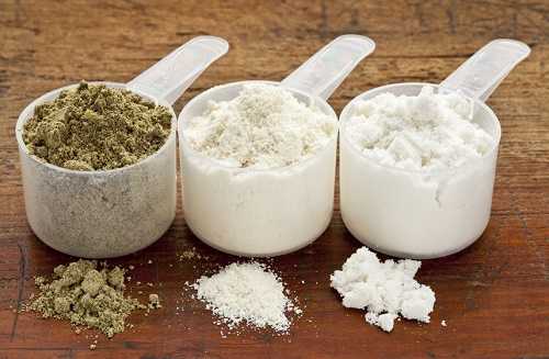 Protein powders