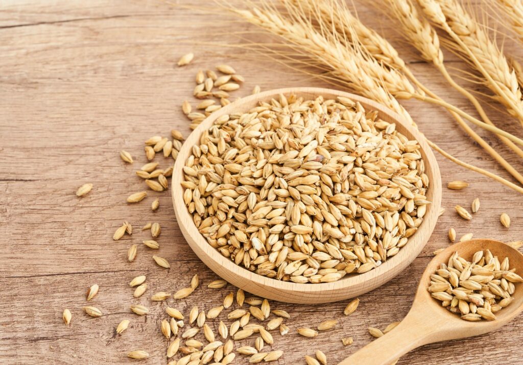 Recooked Oats, Wheat, and Other Grains