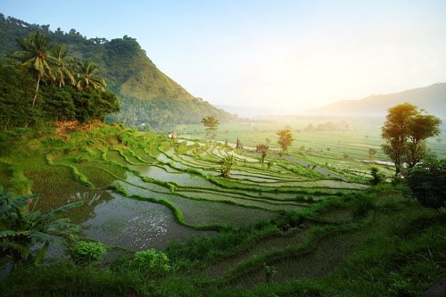 Weather patterns to Visit Bali