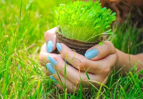 Image of 10 Tips for Picking the Right Nail Polish Color