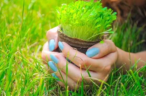 Image of 10 Tips for Picking the Right Nail Polish Color