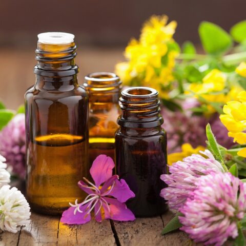 10 Great Ways to Use Essential Oils