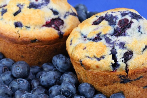 Blueberry muffin cake