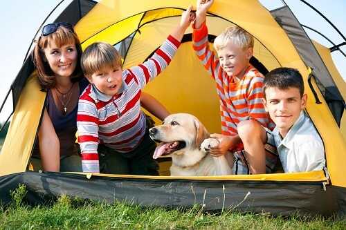 Camp in the backyard