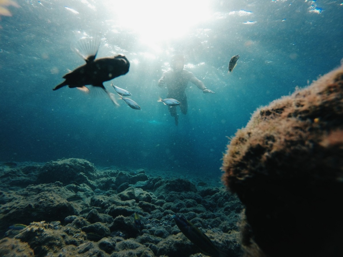 Canary Islands