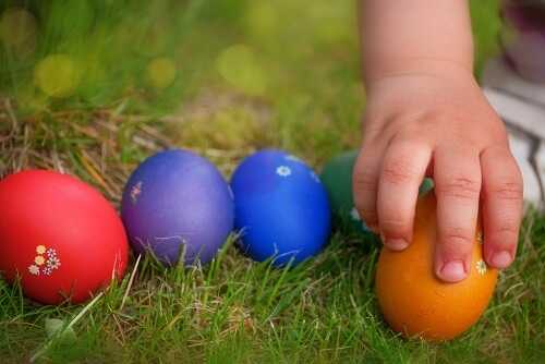 Egg and Spoon Races