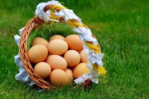 Eggs in a basket