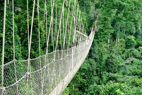 Kakum National Park