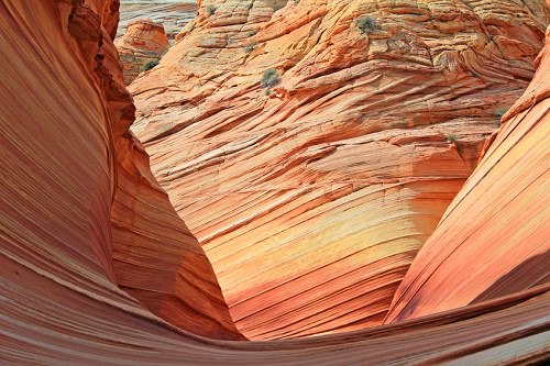 Arizona's Coyote Buttes