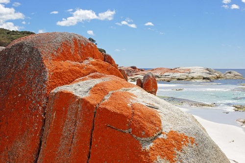 Bay of Fires