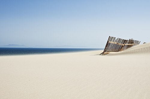 Bologna Beach Cadiz