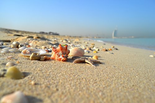 Dubai's beaches