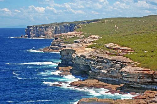 Get Your Nature on at Royal National Park