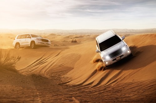 Go dune bashing