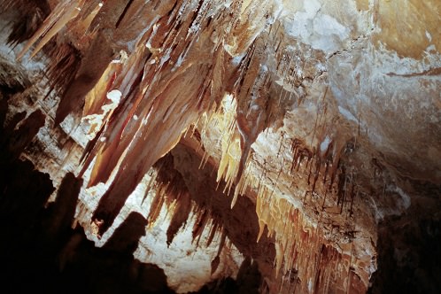 Gunns Plains Cave