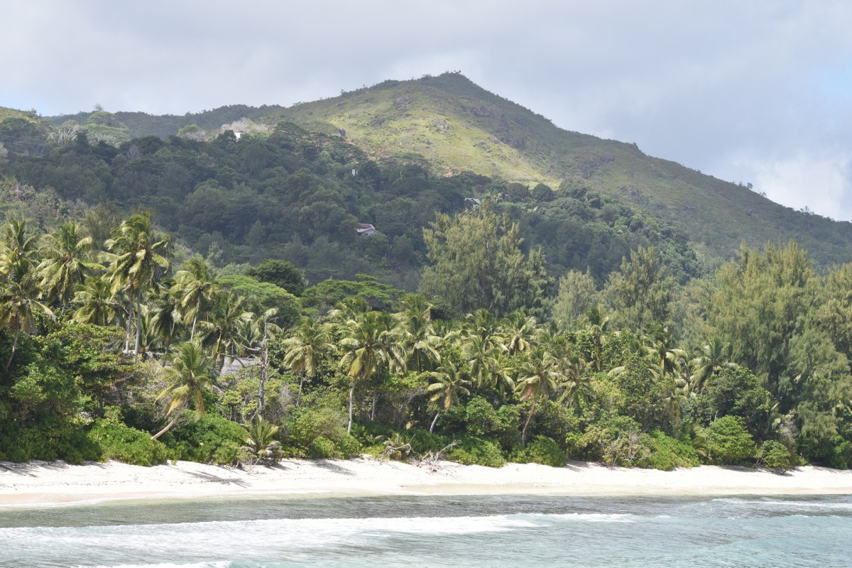 Hiking in the National Park on Mahe Island