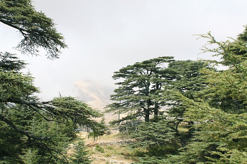 Qadisha Valley