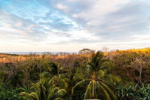 See a bona fide Nicaraguan institution