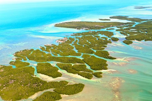 The Florida Keys