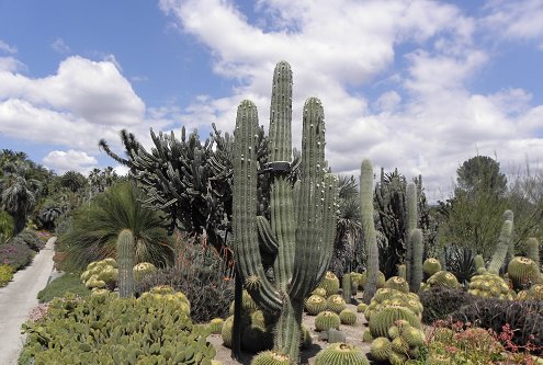 The Huntington Library