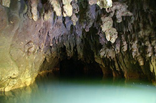 The Waitomo Glowworm Caves