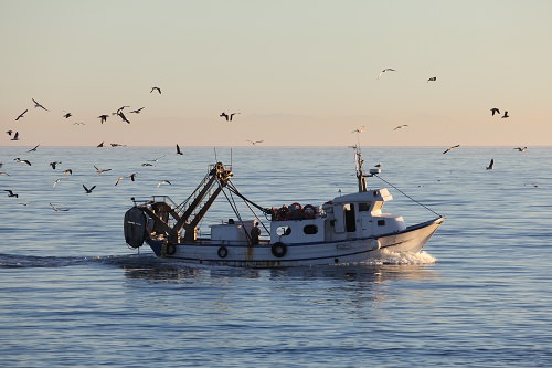 Try fishing in the Gulf Stream