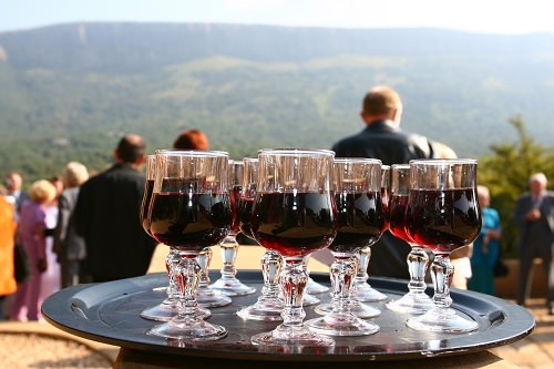 Arrange for a round of wine tasting